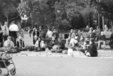 Hari Krishna Devotees at Washington Square Park