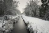 Gwent Levels in Winter