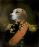Admiral Benson, HMS Beagle!