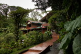 R_190304-063-Costa Rica - Monteverde - Park Elvatura.jpg