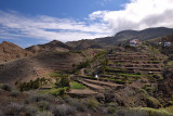 Terrassed fields at Alojera