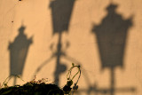 Shadows on a wall