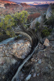 Capitol Reef