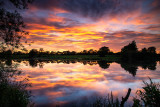 Shannon River Sunset