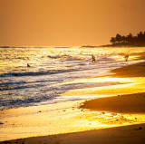 Sunset Swimmers