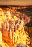 Hoodoos at Dawn