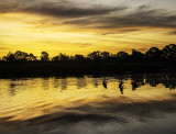 Paddle-boarders at Sunset
