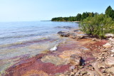 Betsey_shoreline_Aug_2015