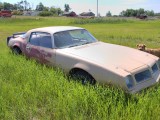 Abandoned vehicles