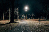 after hours in Pinewoods