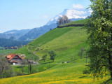Schwarzenberg in spring