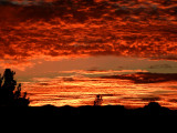 Landscapes