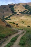 Lucas Valley - Loma Alta Trail