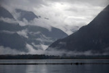 Head Of Toba Inlet