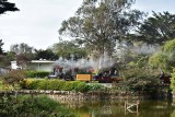 Steam Train By The Pond