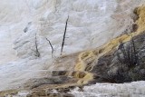 Mammoth Springs Runoff - Yellowstone