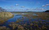 Saltflats disappearing 