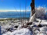 when WINTER rules