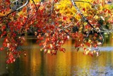 AUTUMN - the year's loveliest smile