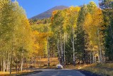 AUTUMN - the year's loveliest smile
