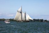 247A3132.jpg