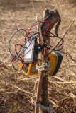 Camp Lightpost