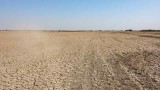Barren Salt Marsh