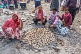 Traditional Chickpea-based Food Cooking on Hot Coals