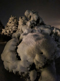 night_shots
