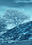 photo_art