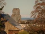 A Slice of Old Sequim