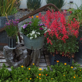 Flower Arranging