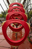 _Z620565.jpg