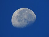 2020-11-05 Waning Gibbous 80% 