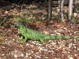 IMG_3324.JPG