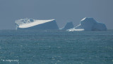 Ijsbergen - Icebergs