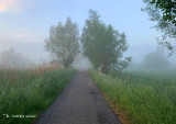 Bourgoyen in de mist gent - Bourgoyen in the mist