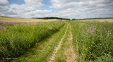 Landweg - Country road