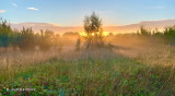 zonsopkomst vinderhoutse bossen - Sunrise 
