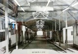 UNDATED - NOZZERS LATER AFTER CANOPY HAD BEEN ADDED.jpg