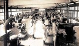 UNDATED - GUN TRAINING.jpg