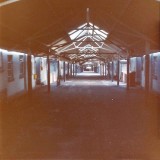 1976 - PETER CHARLTON, 3..jpg