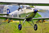 WB-Hawker Hind 00044