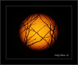 2022 Astrophotography