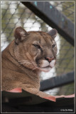 Olmense zoo