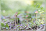 _MG_3260+3262.jpg