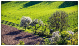 Landscapes 2020