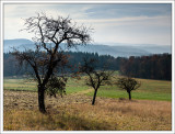 Landscapes 2021