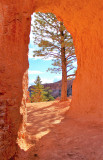 Honorable Mention - View from Canyon Window - by Hulya Ahmed