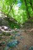 A Holdvilág-árok - The Moonlight Gorge